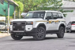 
										Toyota Land Cruiser Prado full									