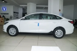 
										Changan EADO EV full									