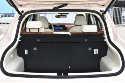 
										GWM Ora Funky Cat full									