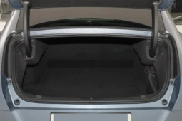 
										GWM Ora Lightening Cat full									