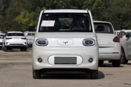 
										Wuling Hongguang MINI EV full									