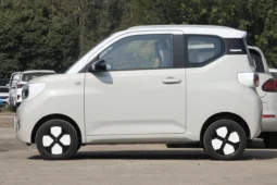 
										Wuling Hongguang MINI EV full									